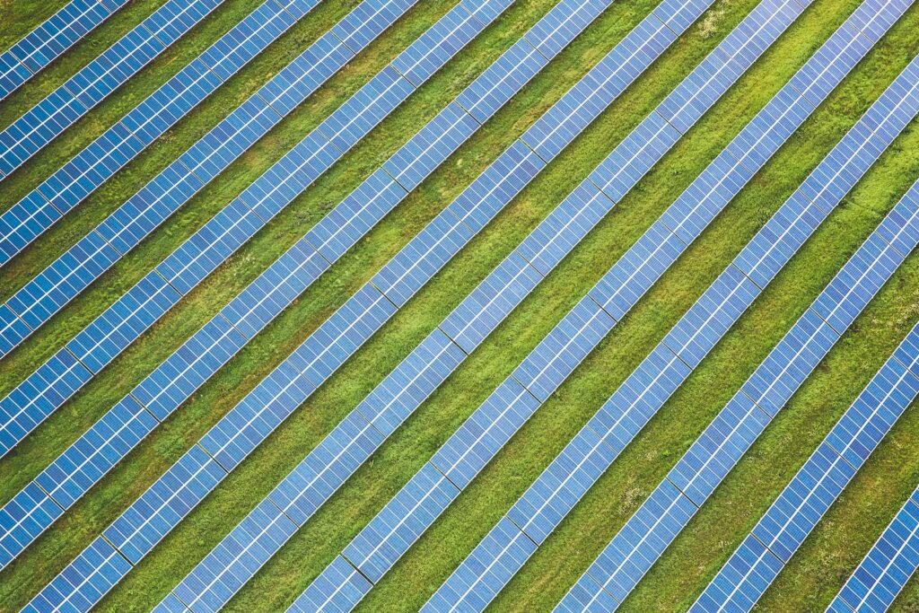 Rows of blue solar panels in a green field