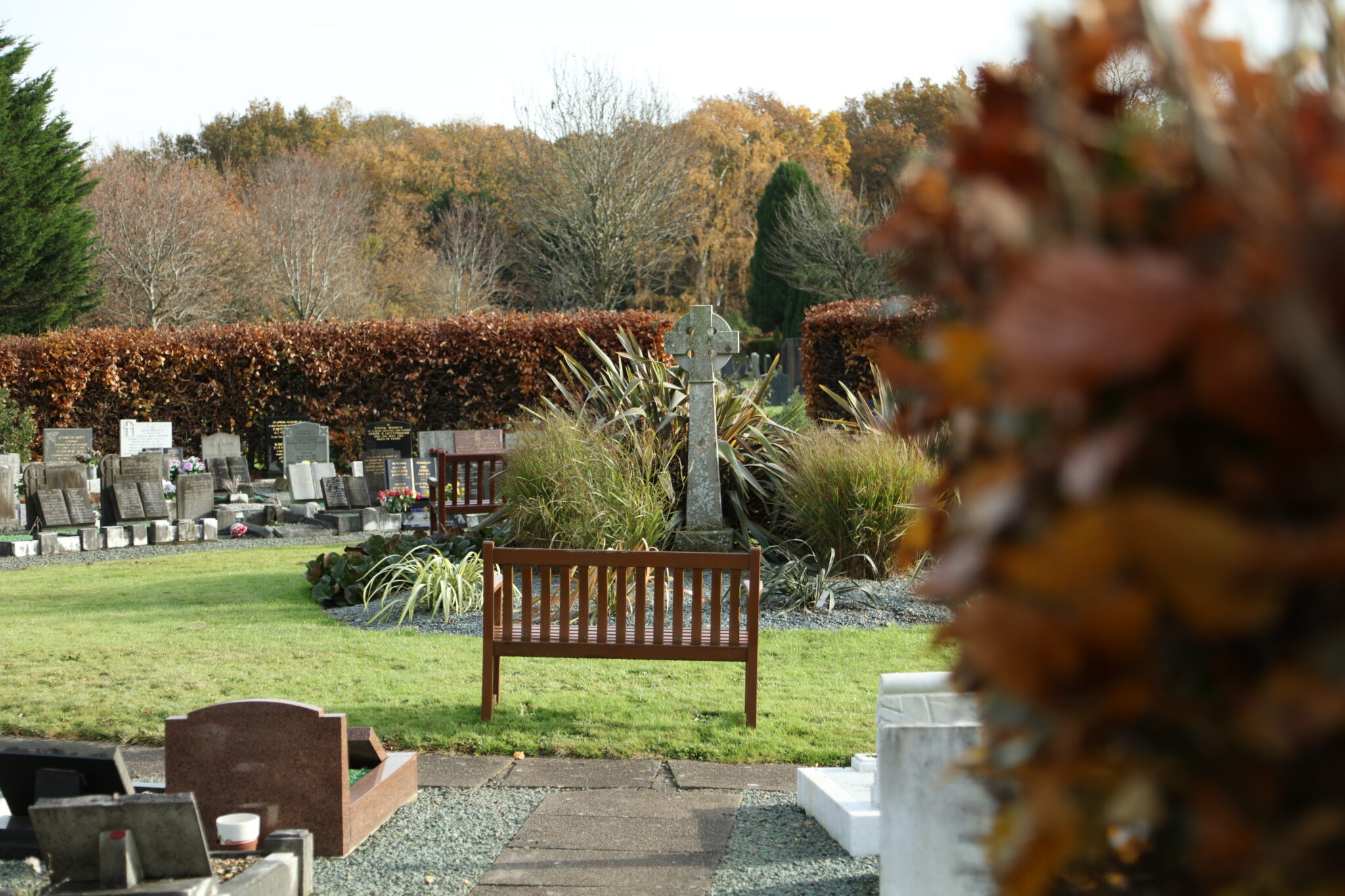 Bench and headstones in a cemetery