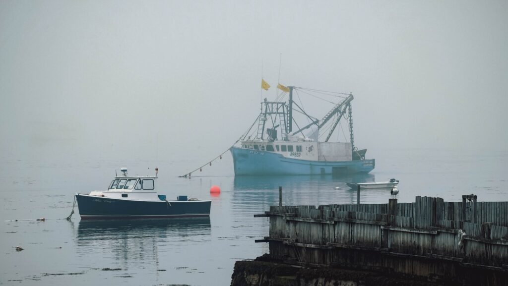 a boat in the water near a dock