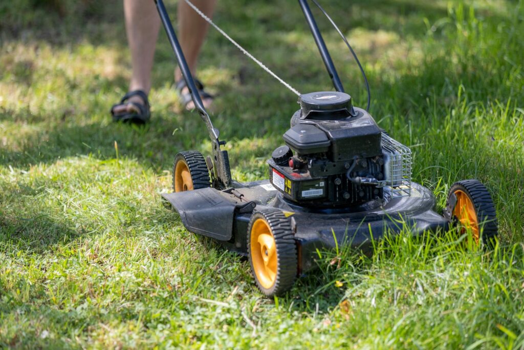 Digital garden waste app launches in Hackney